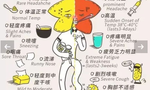 诺氟星 胶囊多少钱一盒药-诺氟星 胶囊多少钱一盒网 - 网站提供诺氟沙星胶囊价格多少钱小常识、诺氟氟沙星胶囊说明书